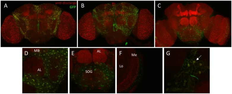 Fig 6