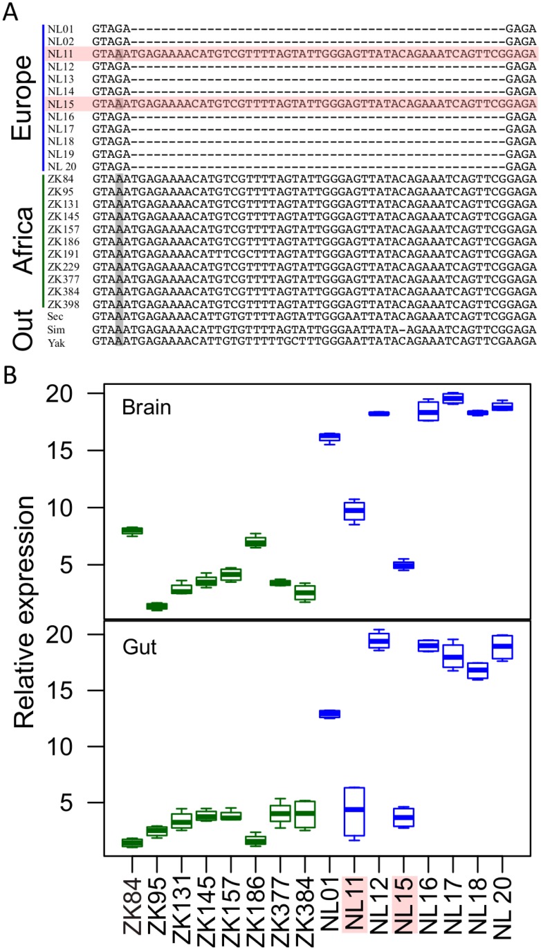 Fig 4