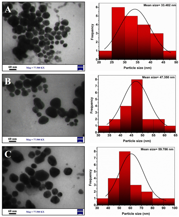 Figure 11