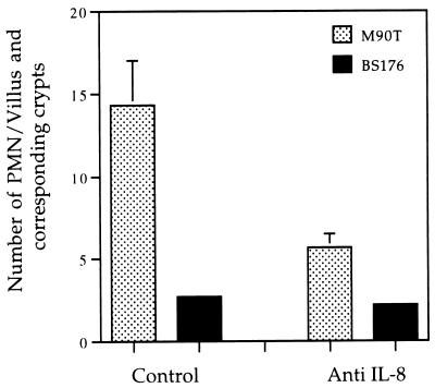 FIG. 6