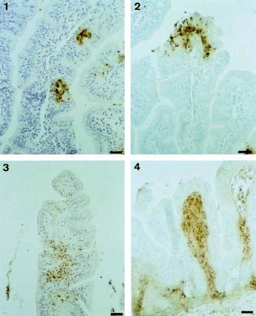 FIG. 7