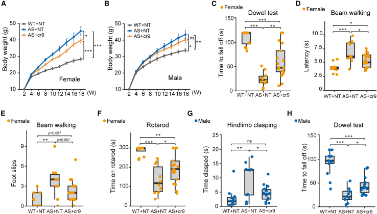 Figure 3