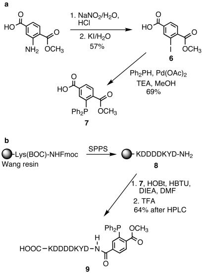 Scheme 2