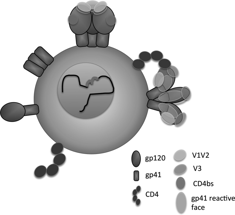 FIG. 2.