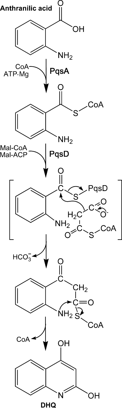 FIGURE 7.