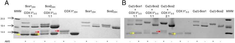 Fig. 3.