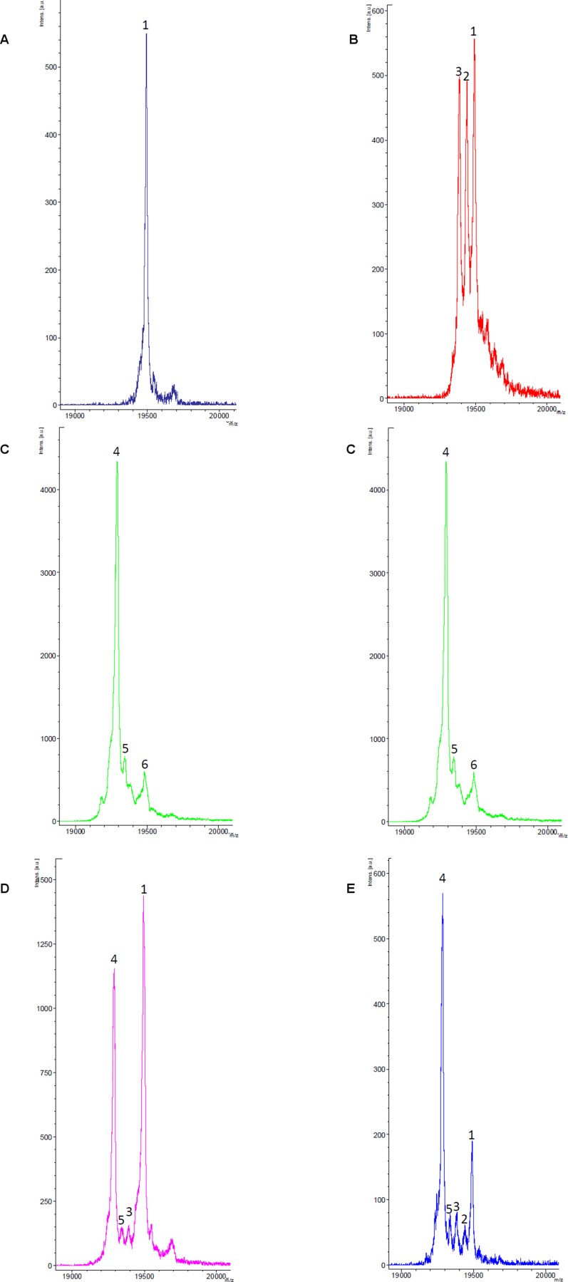 Fig. S9.