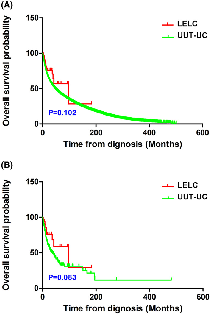 Fig. 10