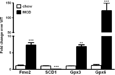 FIG. 5.