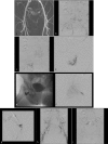 Fig. 10