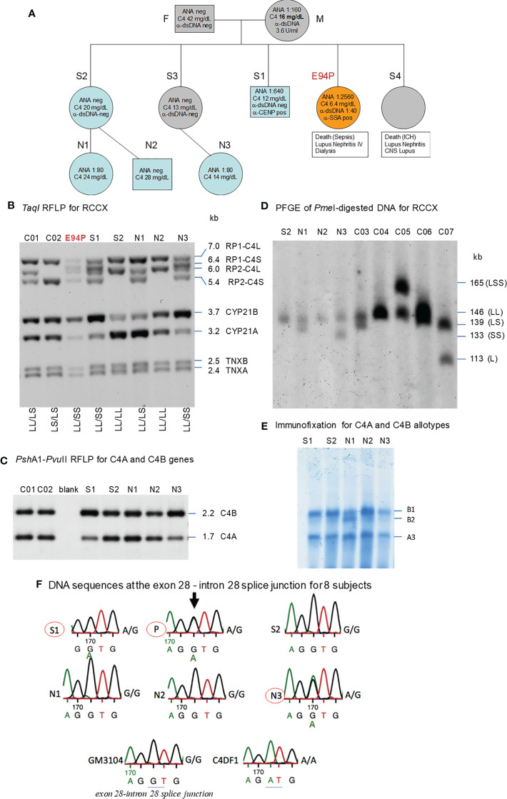 Figure 5