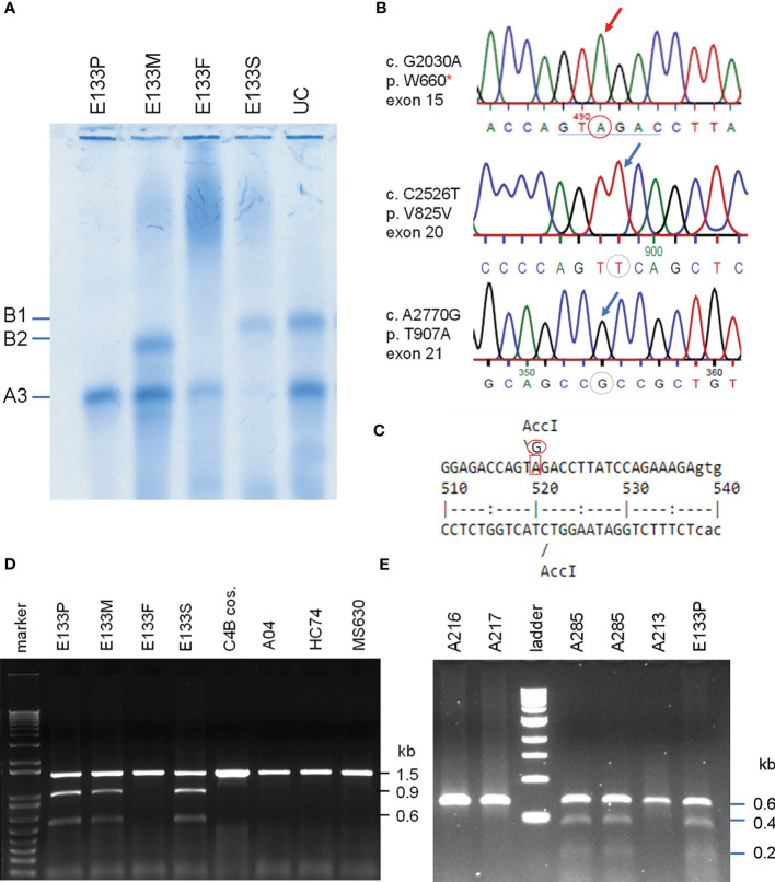 Figure 6