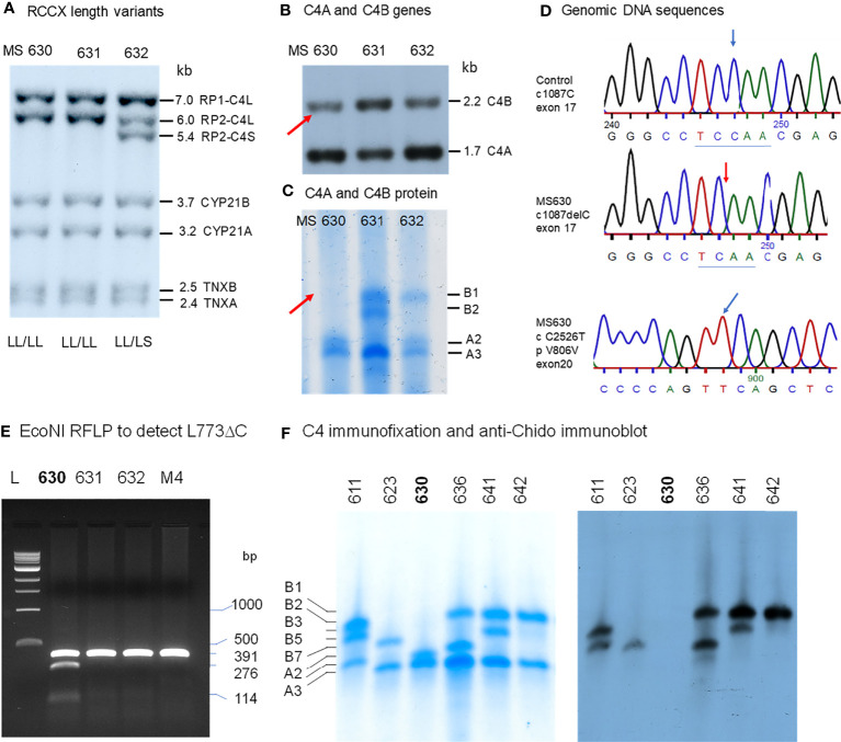 Figure 4