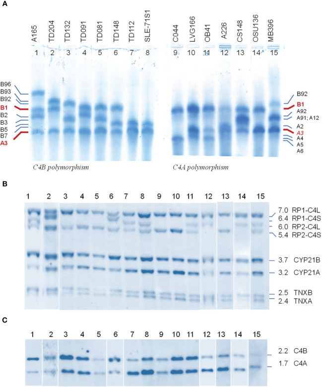 Figure 2