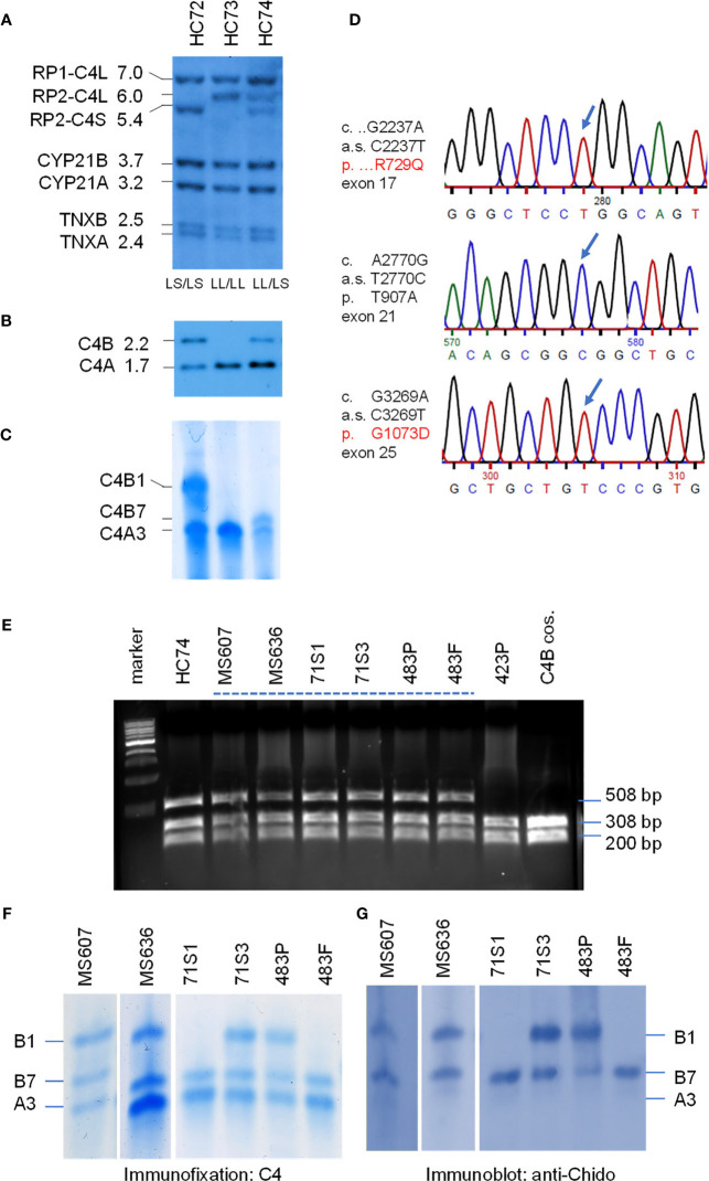 Figure 3