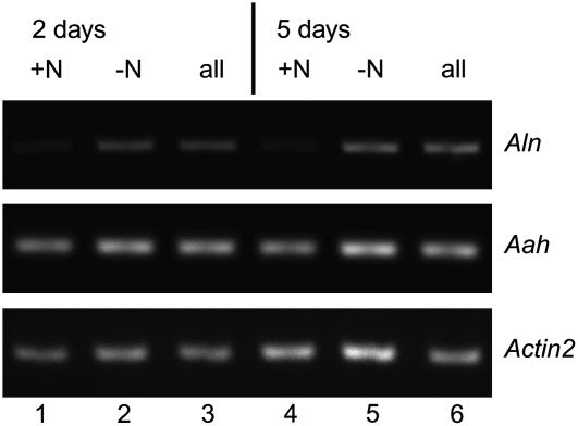 Figure 7.