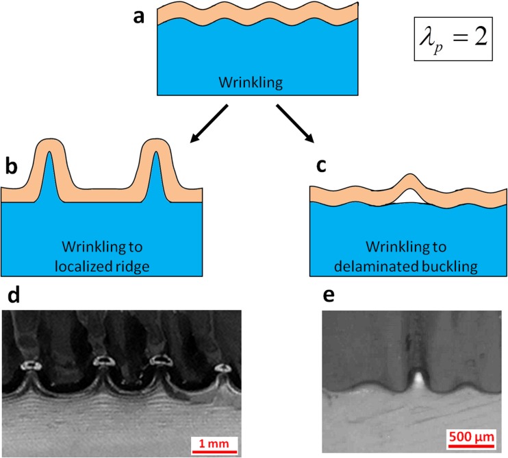 Fig. 9