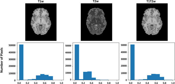 Fig. 4