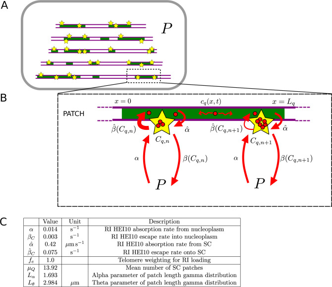 Figure 5—figure supplement 1.