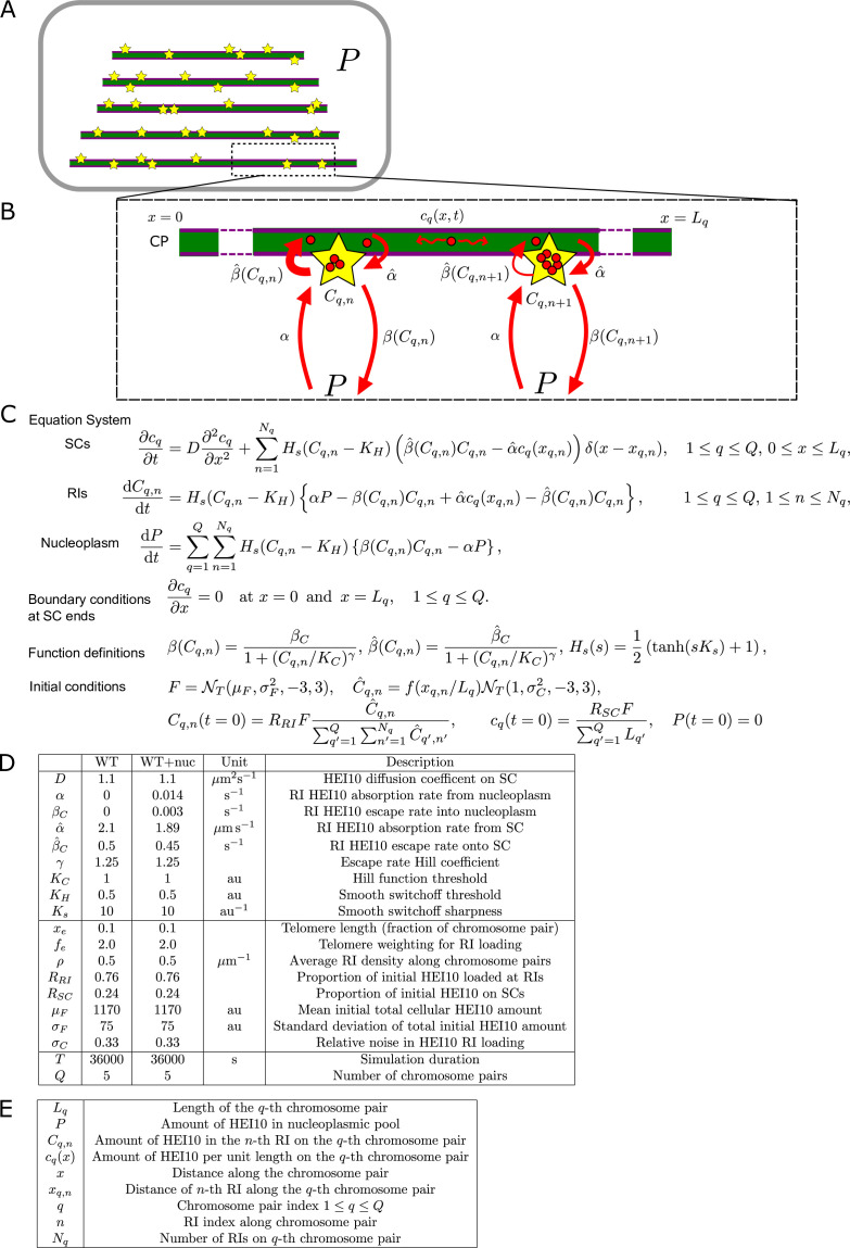 Figure 4—figure supplement 1.