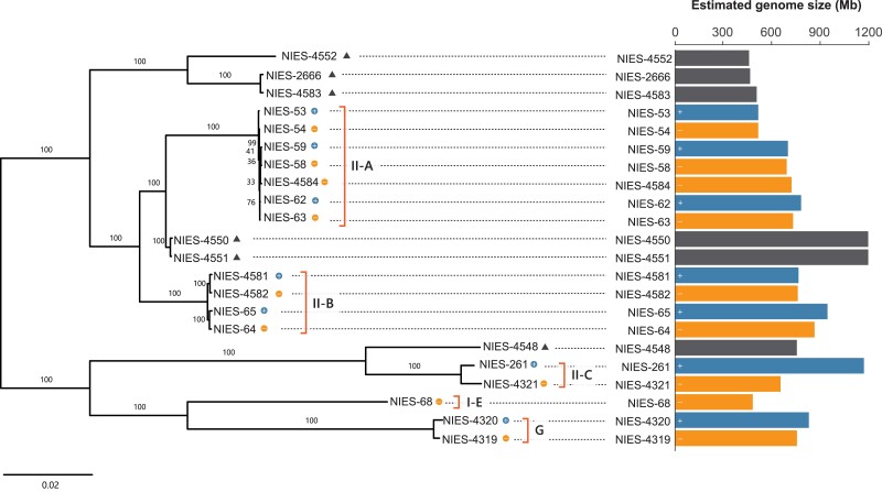 
Fig. 2.