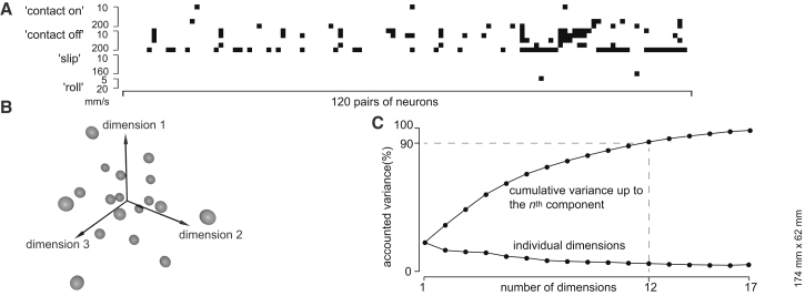 Figure 5