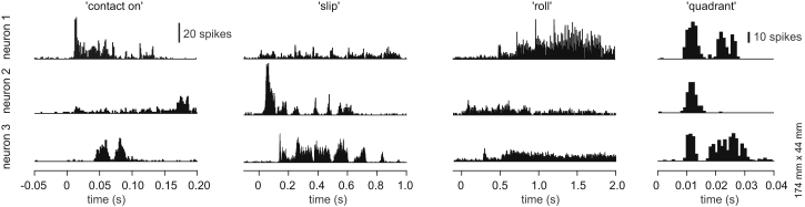 Figure 3