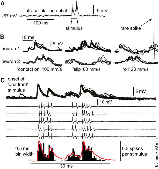 Figure 2