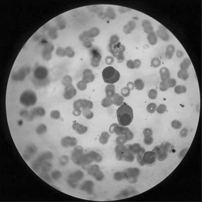 Fig. 3