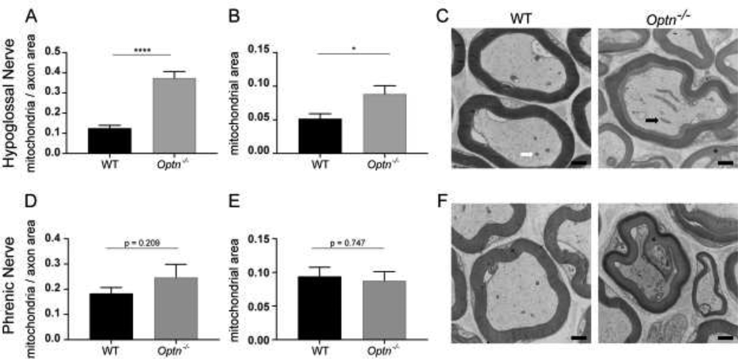 FIGURE 6: