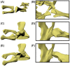 Fig. 6