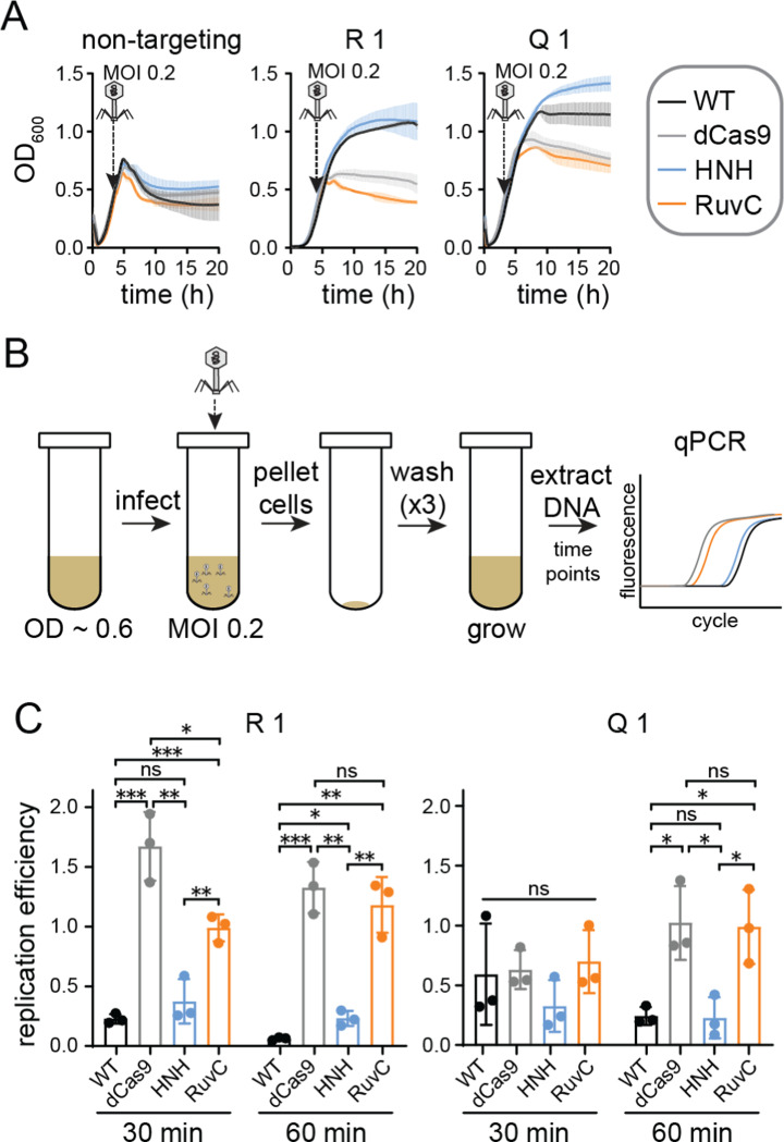 Figure 3: