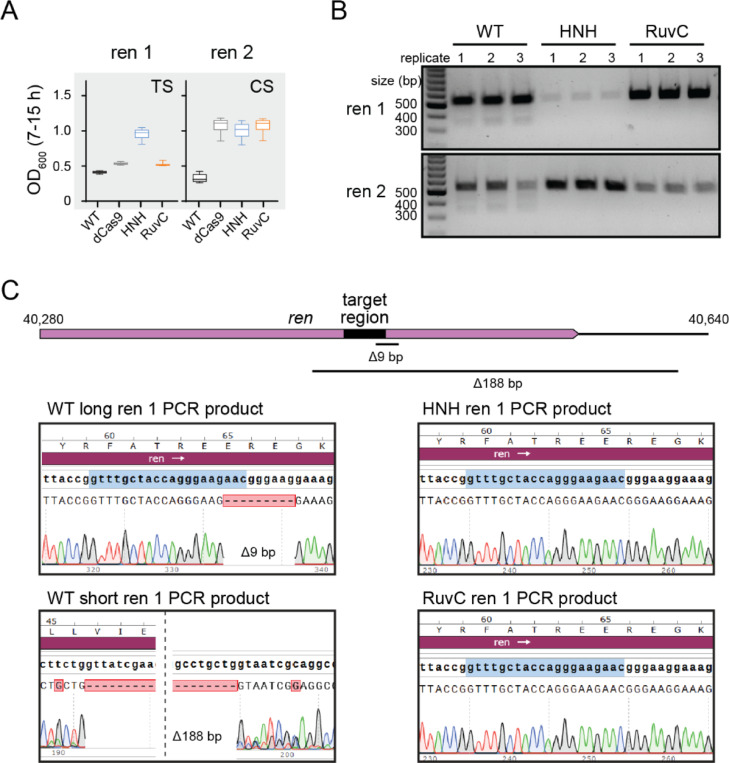 Figure 2: