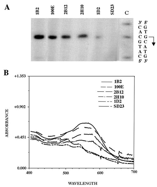 Fig. 5