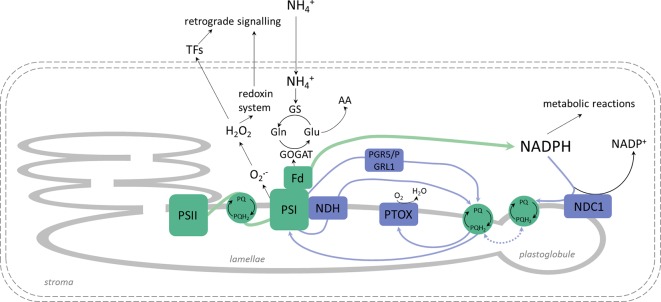 Figure 10