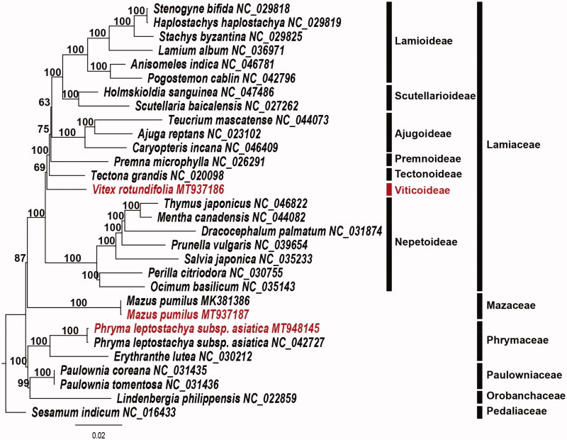 Figure 1.