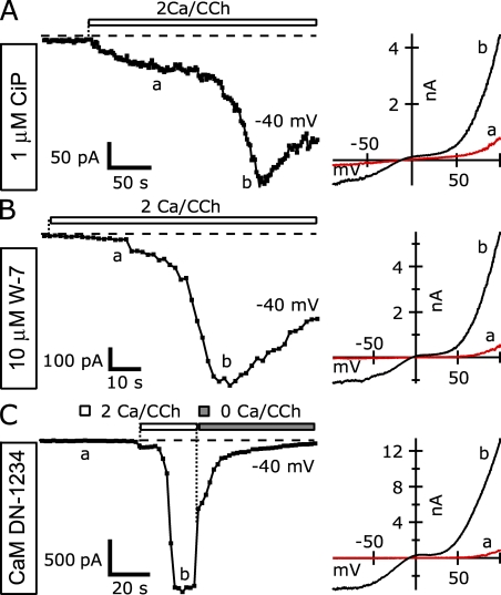 Figure 14.