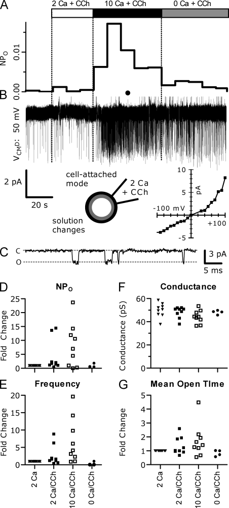 Figure 10.