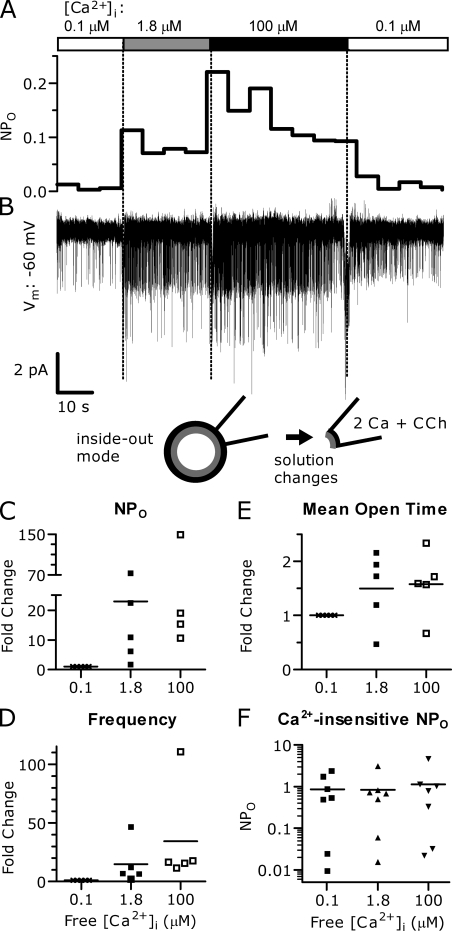 Figure 11.