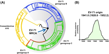 FIG. 2.