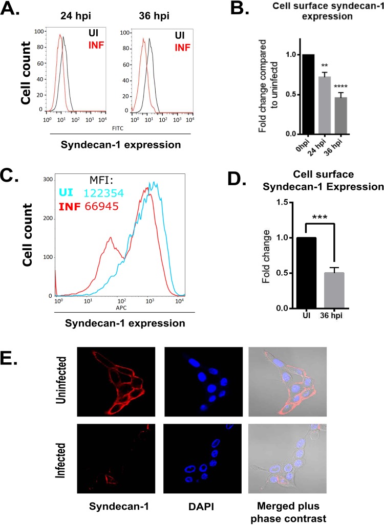 FIG 1