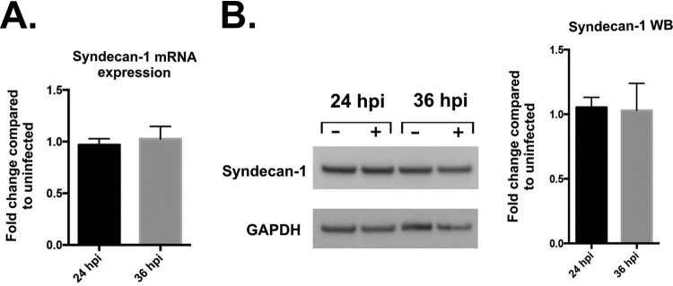 FIG 3