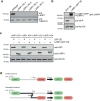 Extended Data Fig. 4