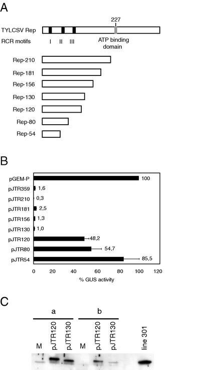 FIG. 1.