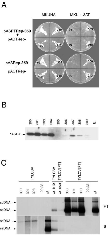 FIG. 5.