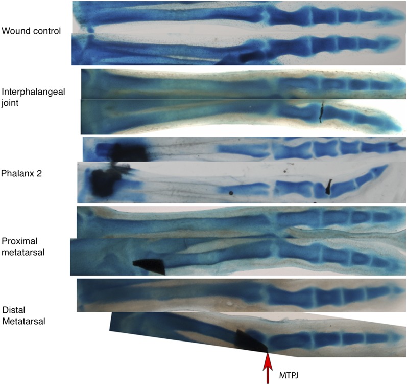 Fig. 3.