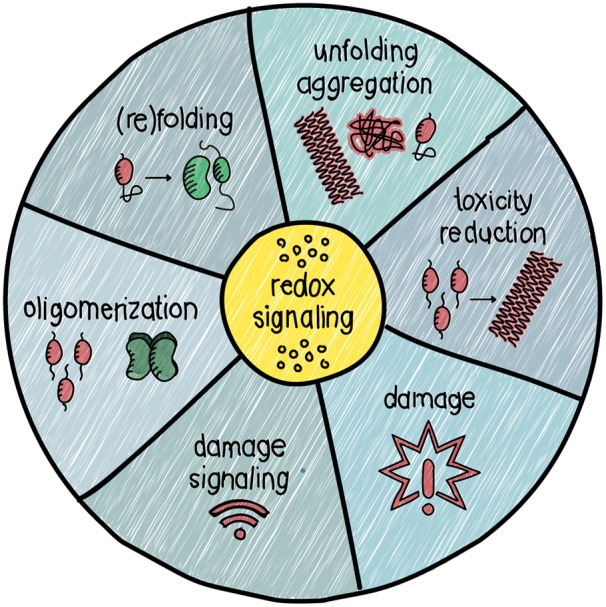 Figure 3.