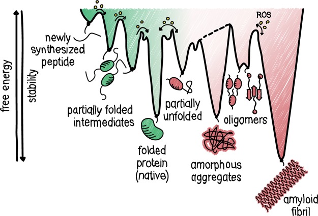 Figure 1.