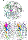 Figure 7.
