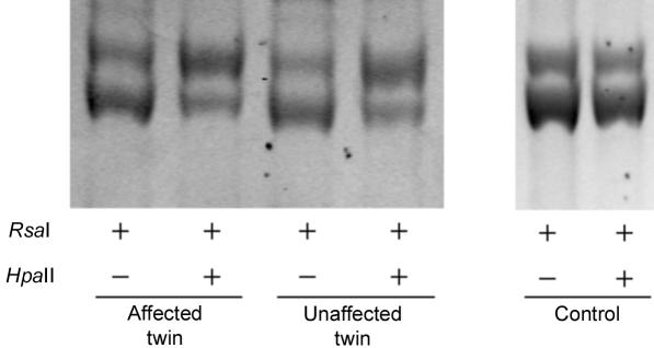 Figure  4. 